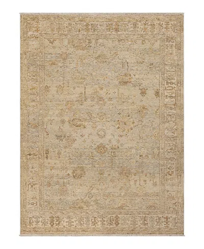 Karastan Sundar Dayalu Area Rug, 6' X 9' In Brown