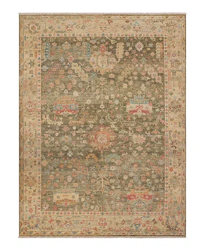 Karastan Sundar Prasann Area Rug, 9' X 12' In Brown