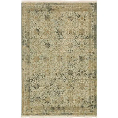Karastan Titanium Gray Rug In Brown