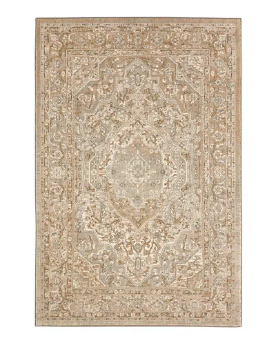 Karastan Touchstone Nore Area Rug, 8' X 11' In Willow Gray