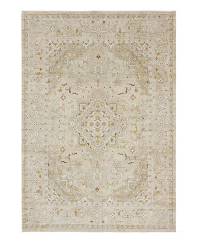 Karastan Windermere Edenhall 5'x7'6 Area Rug In White