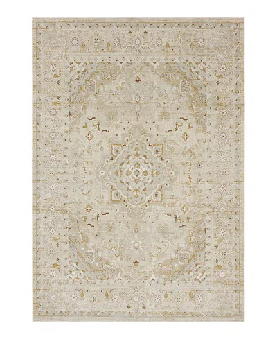 Karastan Windermere Edenhall Area Rug, 5' X 7'6 In Cream