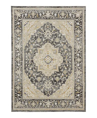 Karastan Windermere Edenhall Area Rug, 9' X 12' In Gray
