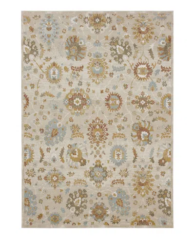 Karastan Windermere Whitehaven Area Rug, 9' X 12' In Beige