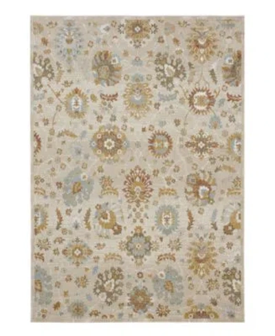 Karastan Windermere Whitehaven Rug Collection In Beige