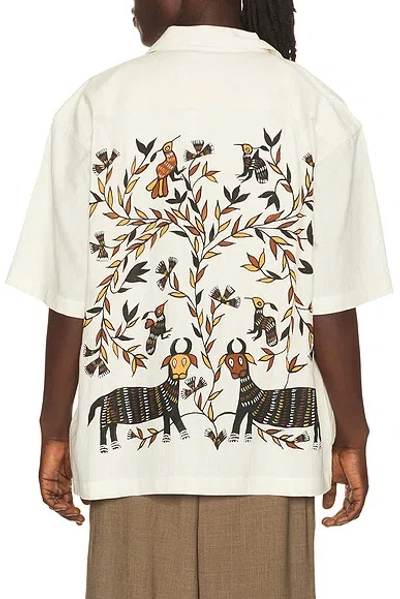 Kardo Rohit Shirt In Neutral