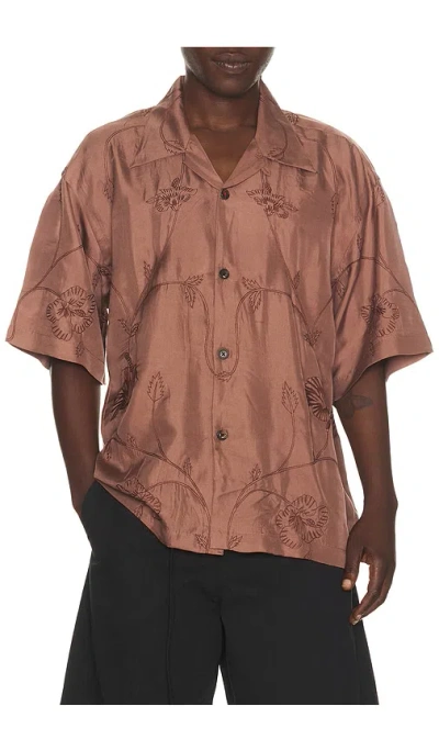 Kardo Rohit Shirt In Brown