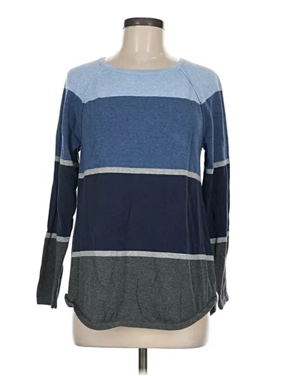 Pre-owned Karen Scott Pullover Sweater In Blue