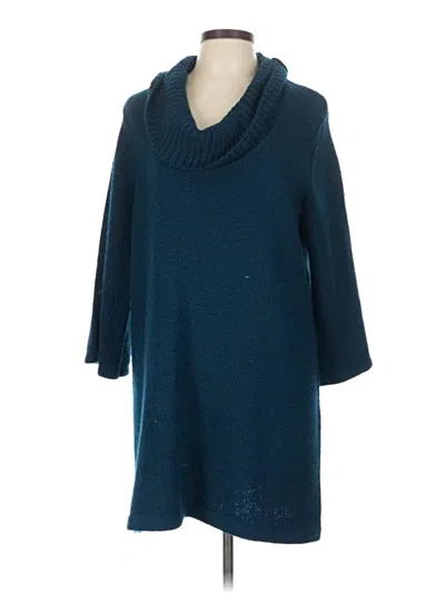 Pre-owned Karen Scott Pullover Sweater In Blue