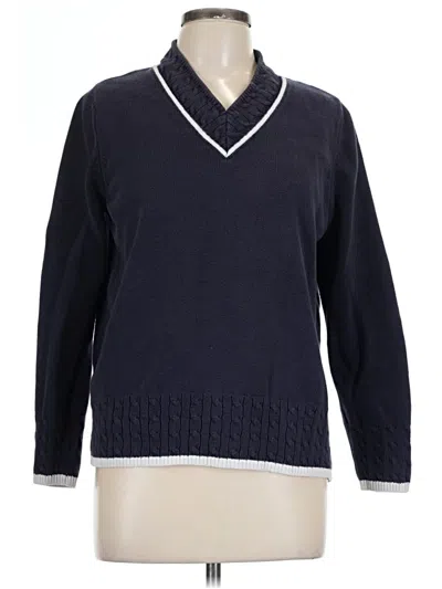 Pre-owned Karen Scott Pullover Sweater In Blue