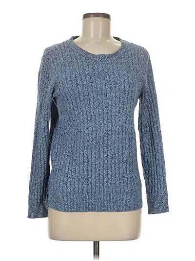 Pre-owned Karen Scott Pullover Sweater In Blue