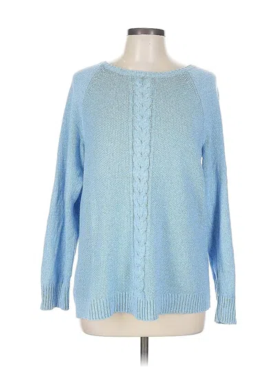 Pre-owned Karen Scott Pullover Sweater In Blue