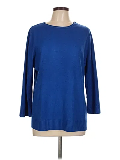Pre-owned Karen Scott Pullover Sweater In Blue