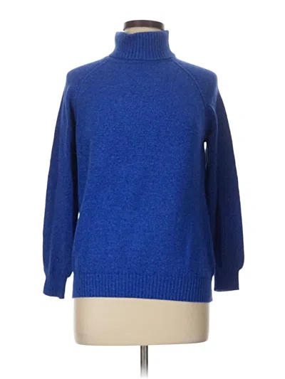 Pre-owned Karen Scott Turtleneck Sweater In Blue