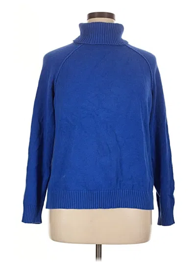 Pre-owned Karen Scott Turtleneck Sweater In Blue
