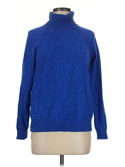 Pre-owned Karen Scott Turtleneck Sweater In Blue