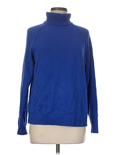 Pre-owned Karen Scott Turtleneck Sweater In Blue