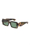 Karen Walker Women's Blow Wave Sunglasses In Two Torts In Multi
