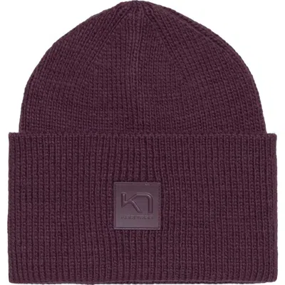 Kari Traa Kyte Beanie In Purple