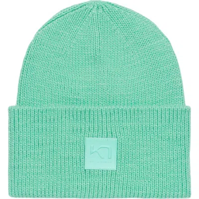 Kari Traa Kyte Beanie In Green