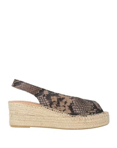 Karida Woman Espadrilles Brown Size 7 Leather In Multi