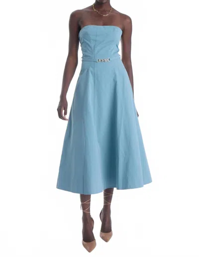 Karina Grimaldi Ale Midi Dress In Sky Blue