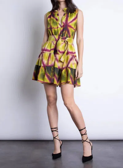 Karina Grimaldi Juniper Print Mini Dress In Juniper Tie In Multi