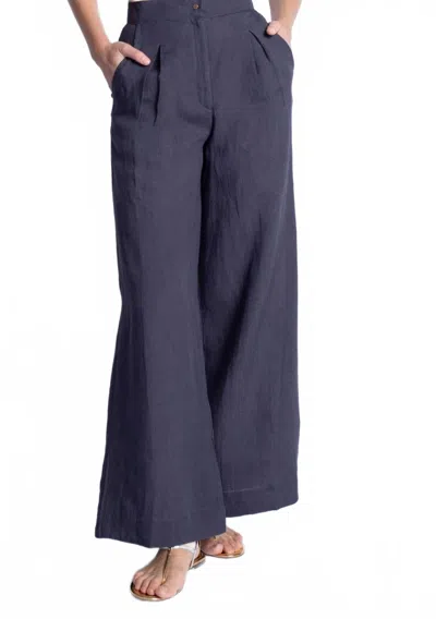Karina Grimaldi Soll Linen Pants In Navy In Purple