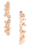 Karine Sultan Circle Cluster Drop Earrings In Gold