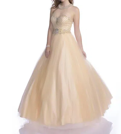 Karishma Creations Envious Couture Maxi Prom Dress In Champagne In Gray