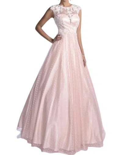 Karishma Creations Fit And Flare Sleeveless Prom Dress In Blush/white In Pink