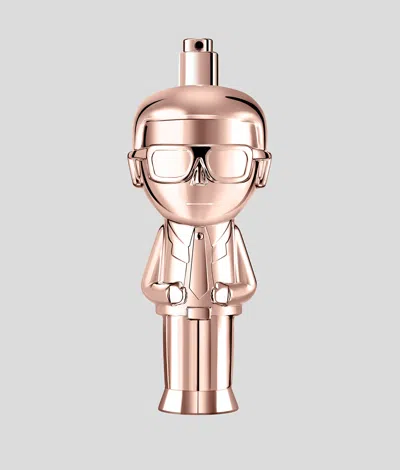 Karl Lagerfeld Ikon Pour Femme In Multi