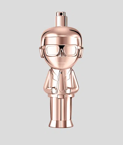 Karl Lagerfeld Karl Ikon Pour Femme In Multi