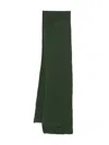 Karl Lagerfeld Logo-embroidered Scarf In Green