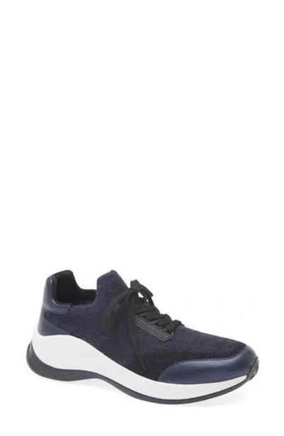 Karl Lagerfeld Paris Carsyn Knit Sneaker In Navy/black