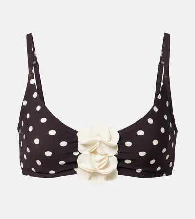Karla Colletto Floral-appliqué Polka-dot Bikini Top In Brown