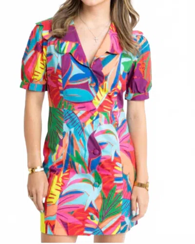 Karlie Birds Of Paradise Scallop Collar Dress In Orange