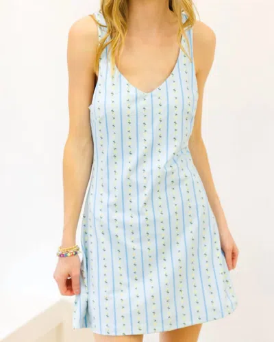 Karlie Floral Ditzy Stripe Kourt Dress In Blue