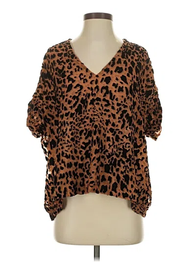 Pre-owned Karlie Short Sleeve Blouse In Brown