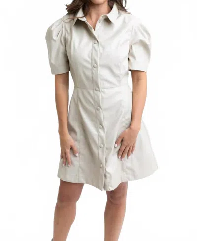 Karlie Solid Pleather Button Dress In Ivory In White