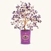 Karma And Luck Compassionate Vibration Amethyst February Birthday Tree
