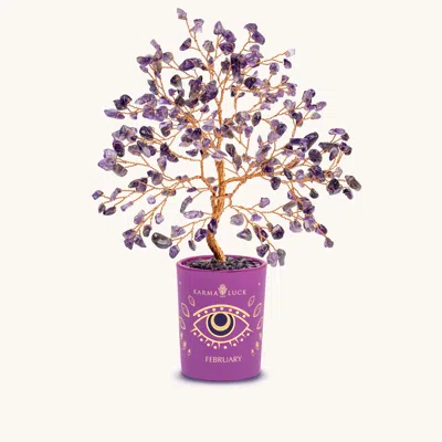 Karma And Luck Compassionate Vibration Amethyst February Birthday Tree