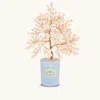 Karma And Luck Ethereal Energy Pearl June Birthday Tree