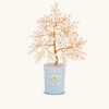 Karma And Luck Ethereal Energy Pearl June Birthday Tree In White