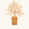Karma And Luck Illuminated Path Citrine November Birthday Tree In Orange/yellow