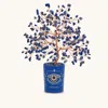 Karma And Luck Intuitive Charm Lapis September Birthday Tree In Blue