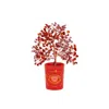 Karma And Luck Loving Vibrations Red Agate & Pink Tourmaline Tree