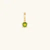 Karma And Luck Steadfast Stability - Turtle Charm In Gold