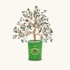 Karma And Luck Successful Endeavors Emerald May Birthday Tree In Green