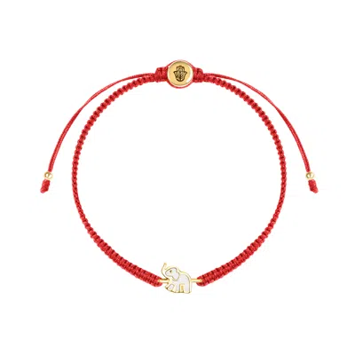 Karma And Luck Women's Ultimate Wisdom - Elephant Charm Red String Bracelet